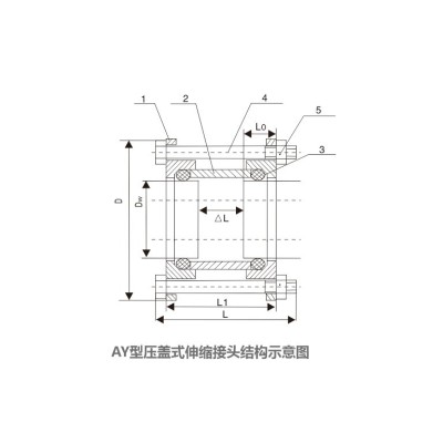 AY型压盖式伸缩接头图2