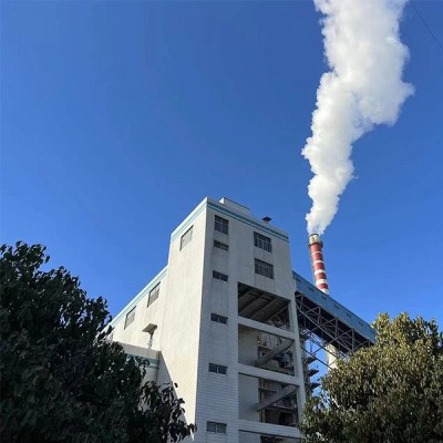 生物质锅炉脱硫脱硝除尘图3